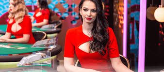 p61slot ပလက်ဖောင်း အကြောင်း